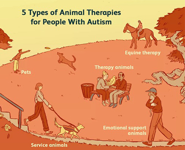 自闭症的动物和宠物疗法