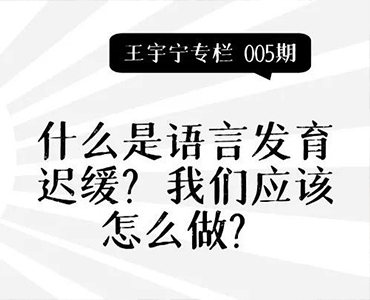 什么是语言发育迟缓？我们应该怎么做？-王宇宁