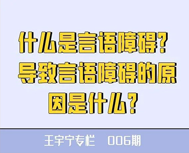 什么是言语障碍？导致言语障碍的原因是什么？-王宇宁