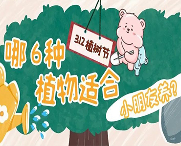 小朋友可以养指物吗？哪些植物适合小朋友养？